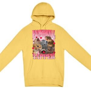 Professional Yapper Cat Funny Oddly Specific Dank Meme Premium Pullover Hoodie