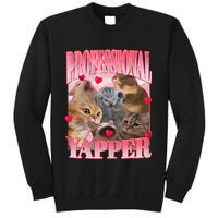Professional Yapper Cat Funny Oddly Specific Dank Meme Sweatshirt