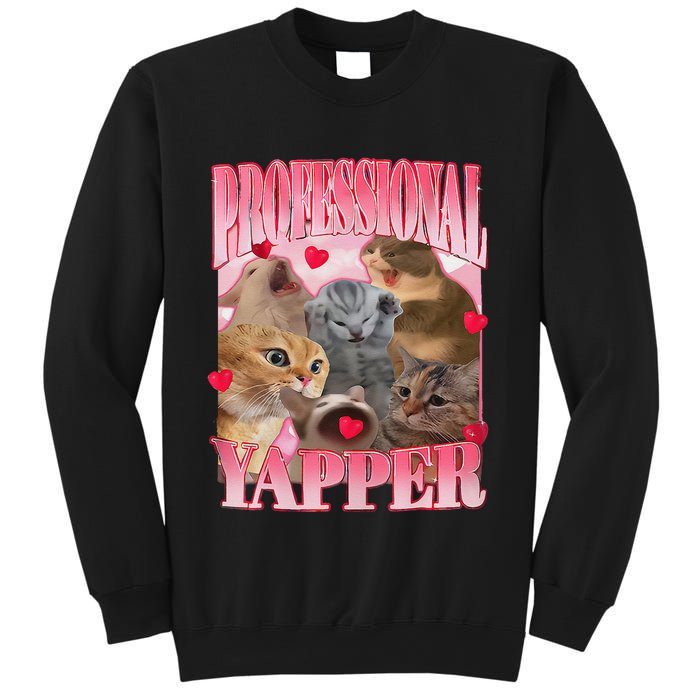 Professional Yapper Cat Funny Oddly Specific Dank Meme Sweatshirt