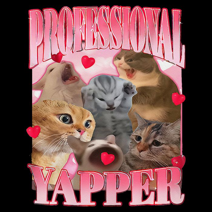 Professional Yapper Cat Funny Oddly Specific Dank Meme Sweatshirt
