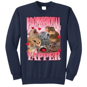 Professional Yapper Cat Funny Oddly Specific Dank Meme Sweatshirt