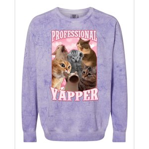 Professional Yapper Cat Meme Goofy Ahh Ironic Cat Colorblast Crewneck Sweatshirt