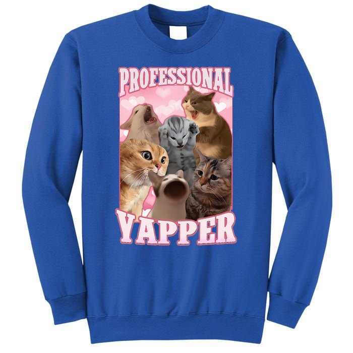 Professional Yapper Cat Meme Goofy Ahh Ironic Cat Sweatshirt