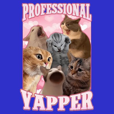 Professional Yapper Cat Meme Goofy Ahh Ironic Cat T-Shirt
