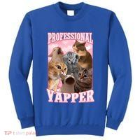 Professional Yapper Cat Meme Goofy Ahh Ironic Cat Tall Sweatshirt