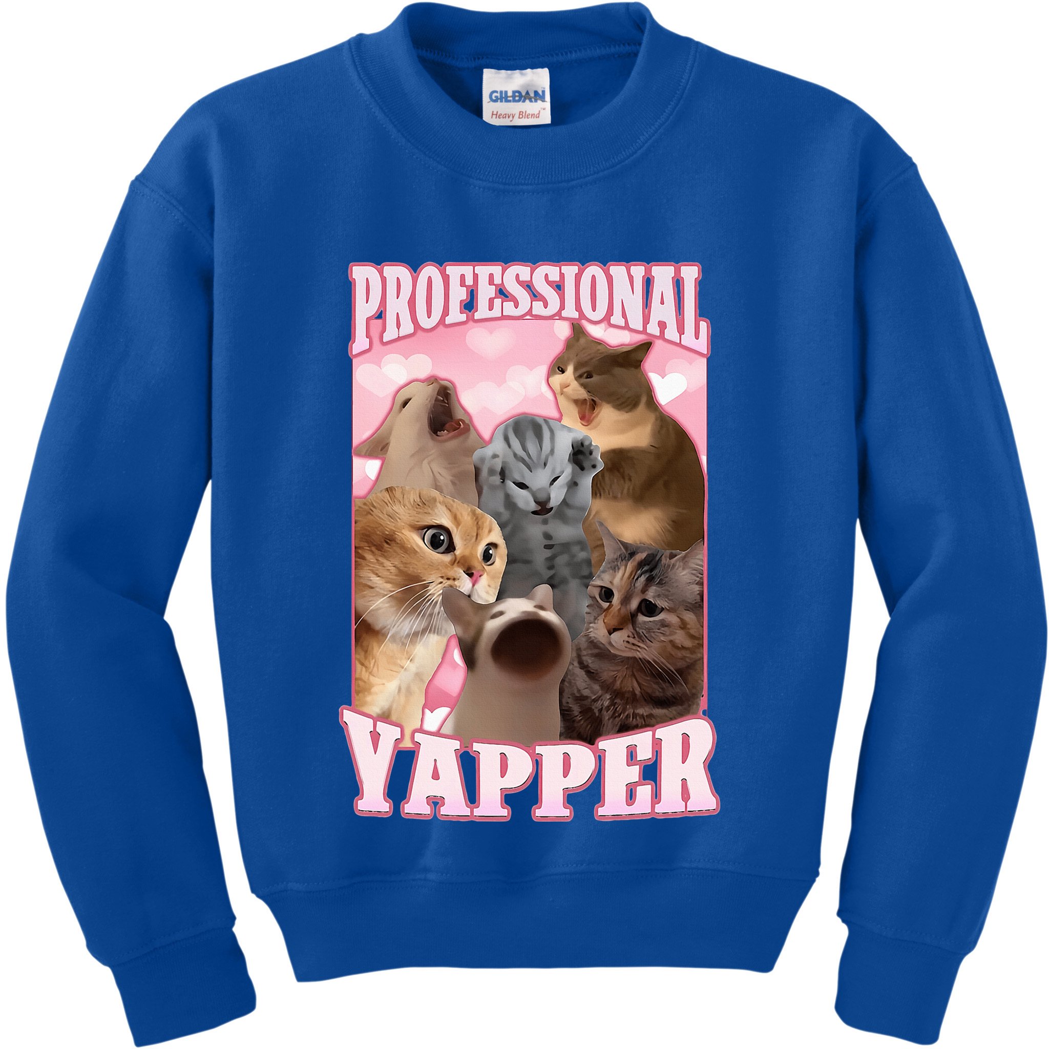 Professional Yapper Cat Meme Goofy Ahh Ironic Cat Kids Sweatshirt