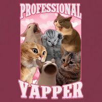 Professional Yapper Cat Meme Goofy Ahh Ironic Cat 16oz Travel Tumbler