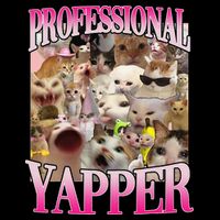 Professional Yapper Cat Funny Weird Specific Meme Lover Cat Metallic Star Ornament