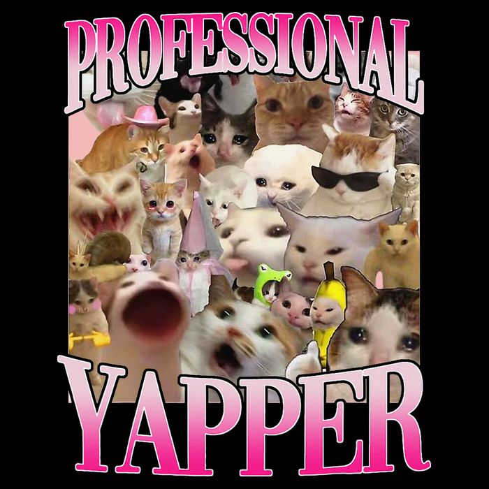 Professional Yapper Cat Funny Weird Specific Meme Lover Cat Metallic Star Ornament
