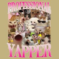Professional Yapper Cat Funny Weird Specific Meme Lover Cat T-Shirt