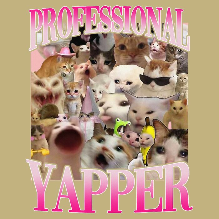 Professional Yapper Cat Funny Weird Specific Meme Lover Cat T-Shirt