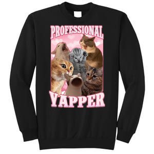 Professional Yapper Funny Cat Meme Goofy Ahh Ironic Cat Sweatshirt