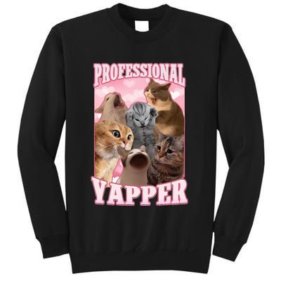 Professional Yapper Funny Cat Meme Goofy Ahh Ironic Cat Sweatshirt