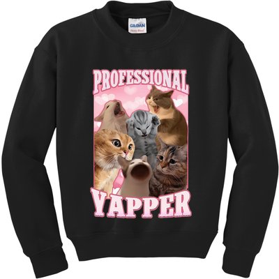Professional Yapper Funny Cat Meme Goofy Ahh Ironic Cat Kids Sweatshirt