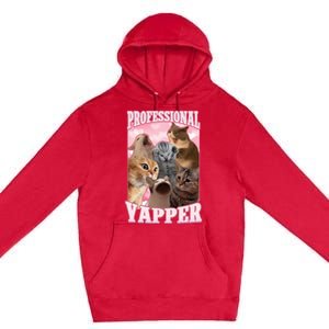 Professional Yapper Funny Cat Meme Goofy Ahh Ironic Cat Premium Pullover Hoodie