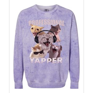 Professional Yapper Funny Cat Meme Goofy Ahh Ironic Cat Colorblast Crewneck Sweatshirt