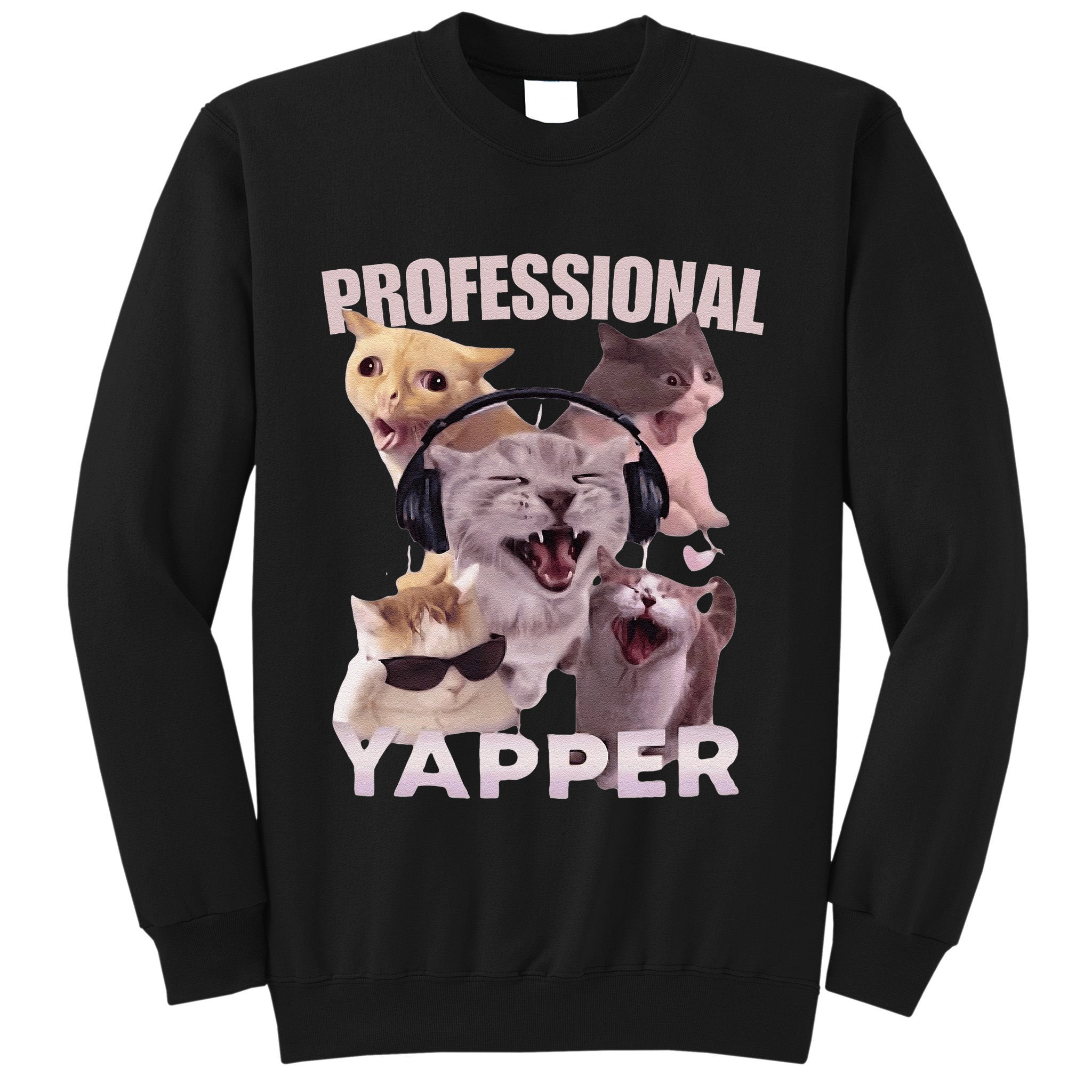 Professional Yapper Funny Cat Meme Goofy Ahh Ironic Cat Sweatshirt