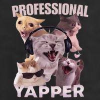 Professional Yapper Funny Cat Meme Goofy Ahh Ironic Cat Adult Drive Performance Visor