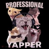 Professional Yapper Funny Cat Meme Goofy Ahh Ironic Cat Poster