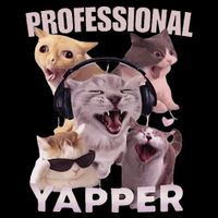 Professional Yapper Funny Cat Meme Goofy Ahh Ironic Cat Pom Pom 12in Knit Beanie