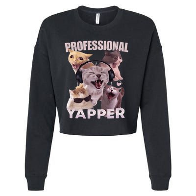 Professional Yapper Funny Cat Meme Goofy Ahh Ironic Cat Cropped Pullover Crew