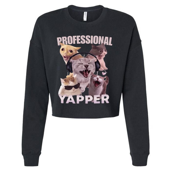 Professional Yapper Funny Cat Meme Goofy Ahh Ironic Cat Cropped Pullover Crew