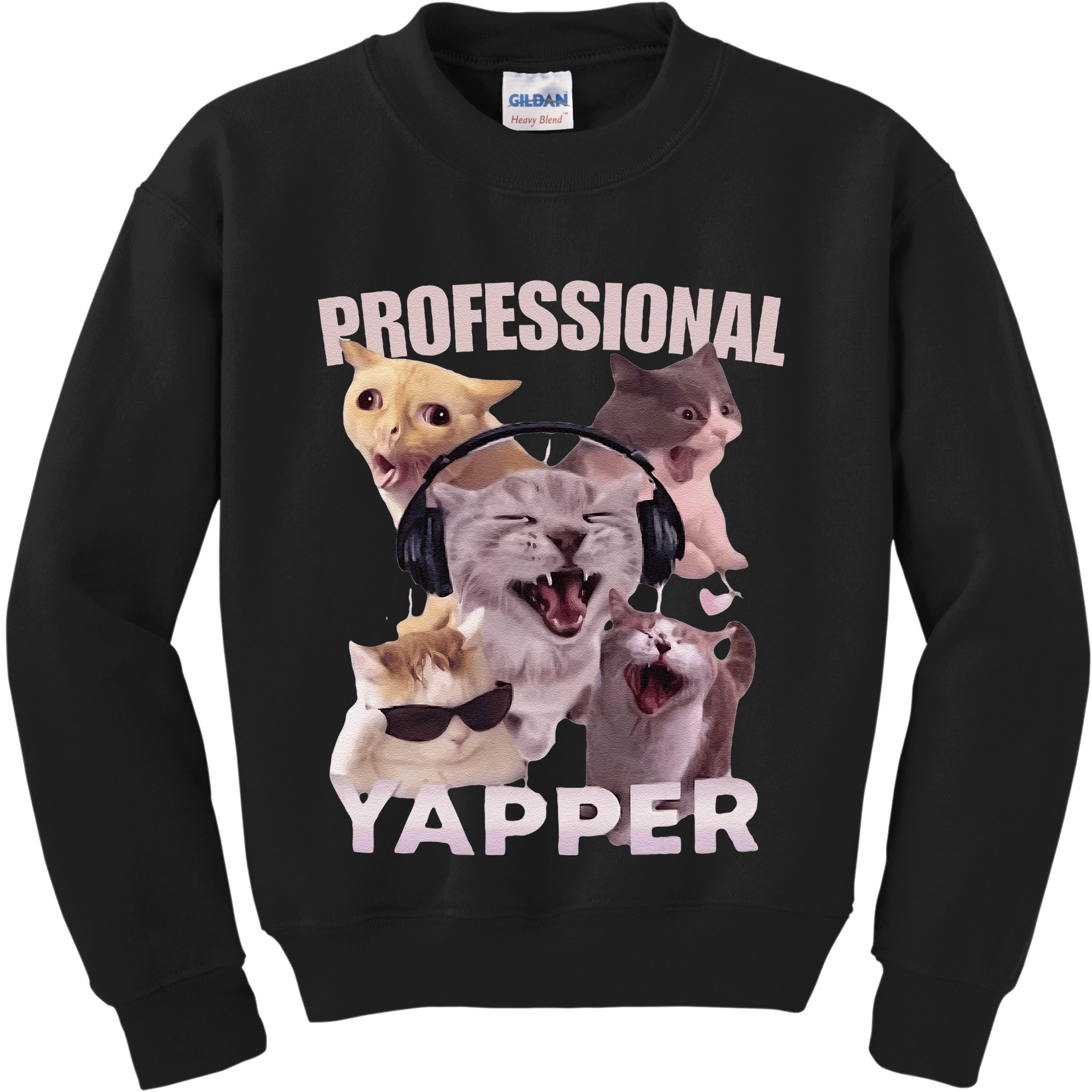 Professional Yapper Funny Cat Meme Goofy Ahh Ironic Cat Kids Sweatshirt