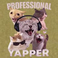 Professional Yapper Funny Cat Meme Goofy Ahh Ironic Cat Garment-Dyed Women's Muscle Tee