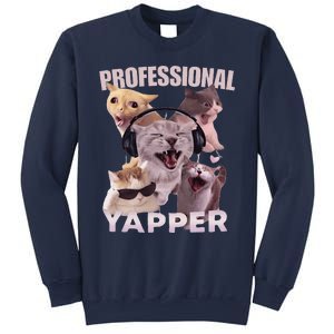 Professional Yapper Funny Cat Meme Goofy Ahh Ironic Cat Sweatshirt