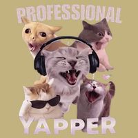 Professional Yapper Funny Cat Meme Goofy Ahh Ironic Cat Tall Long Sleeve T-Shirt