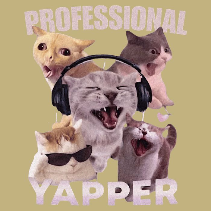 Professional Yapper Funny Cat Meme Goofy Ahh Ironic Cat Tall Long Sleeve T-Shirt