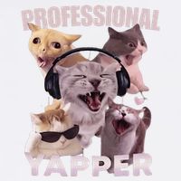 Professional Yapper Funny Cat Meme Goofy Ahh Ironic Cat Garment-Dyed Sweatshirt