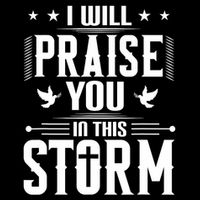 Praise You In This Storm Lyrics Casting Crowns Jesus 16 in Basic Backpack