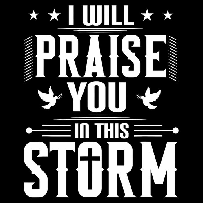 Praise You In This Storm Lyrics Casting Crowns Jesus 16 in Basic Backpack