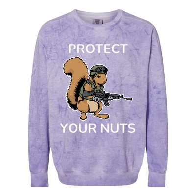 Protect Your Nuts Funny Squirrel Lover Colorblast Crewneck Sweatshirt