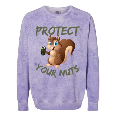 Protect Your Nuts Squirrel Inappropriate Adult Humor Gift Colorblast Crewneck Sweatshirt