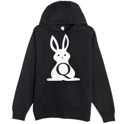Q Anon Bunny Qanon Premium Pullover Hoodie