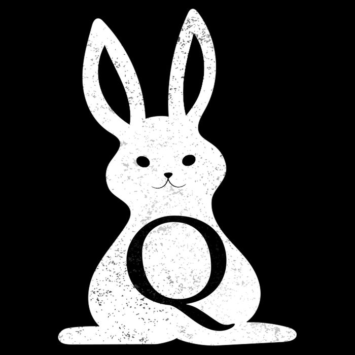 Q Anon Bunny Qanon Premium T-Shirt