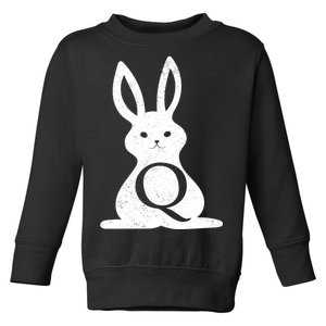 Q Anon Bunny Qanon Toddler Sweatshirt