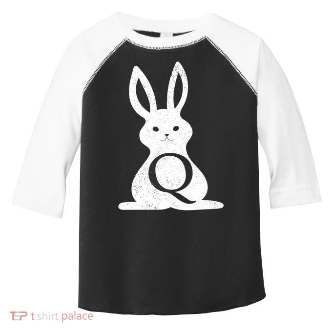 Q Anon Bunny Qanon Toddler Fine Jersey T-Shirt
