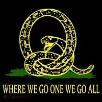 Q Anon Don't Tread On Me Qanon Youth Performance Sprint T-Shirt