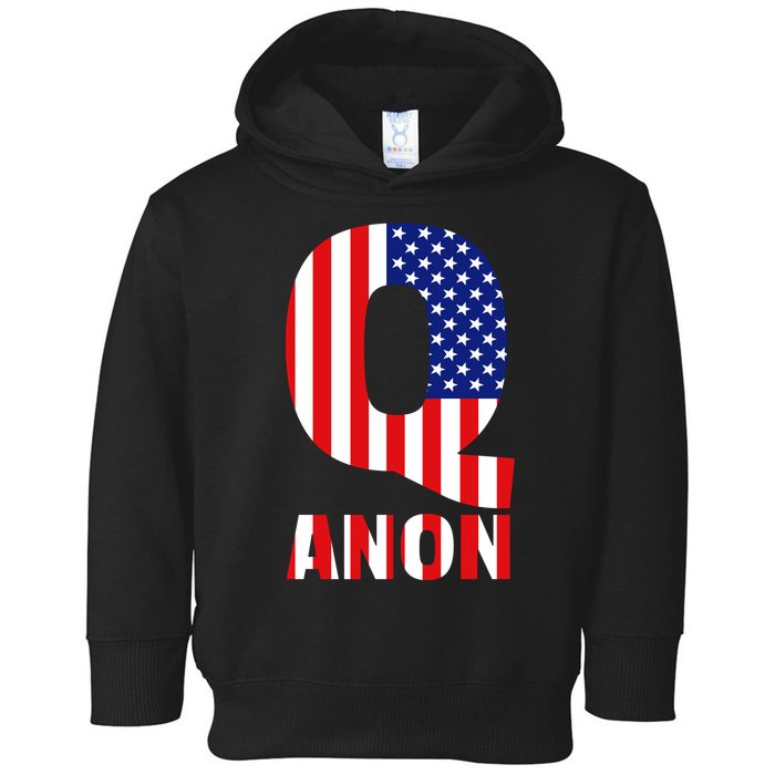 Q Anon Patriotic USA Flag Toddler Hoodie