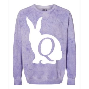 Q-anon Rabbit Logo Colorblast Crewneck Sweatshirt