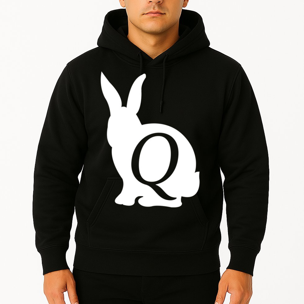 Q-anon Rabbit Logo Hoodie