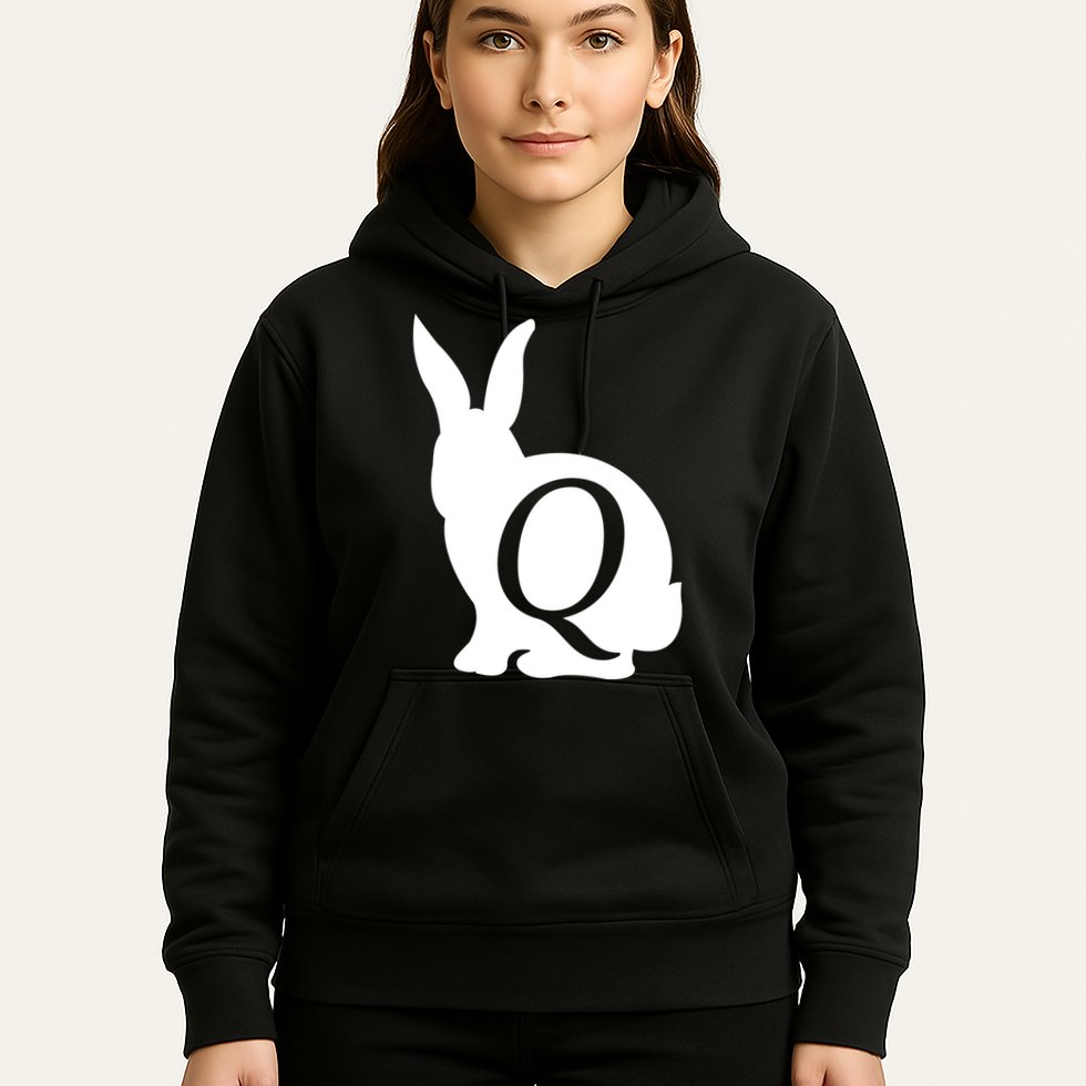 Q-anon Rabbit Logo Hoodie