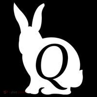 Q-anon Rabbit Logo Button