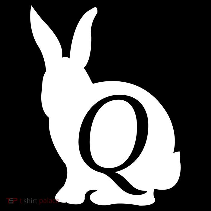 Q-anon Rabbit Logo 16 in Basic Backpack