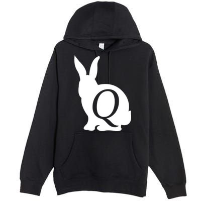 Q-anon Rabbit Logo Premium Pullover Hoodie