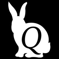Q-anon Rabbit Logo Premium T-Shirt
