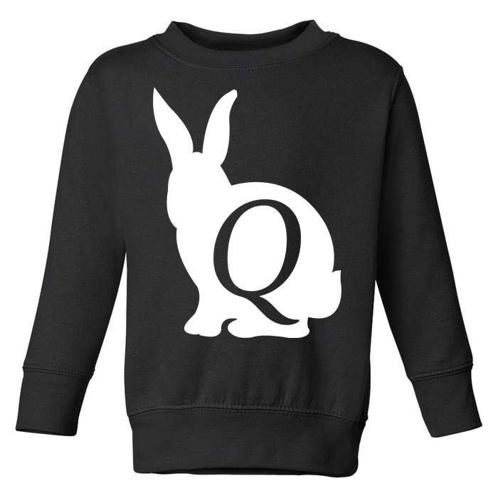 Q-anon Rabbit Logo Toddler Sweatshirt